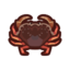Dungeoness crab.png