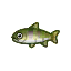 Cherry Salmon ACNH.png