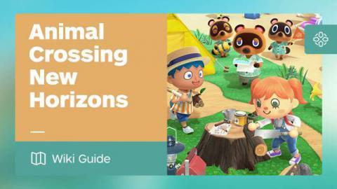 Animal Crossing: How to Increase House Storage Space