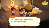 Turnip prices acnh.jpg
