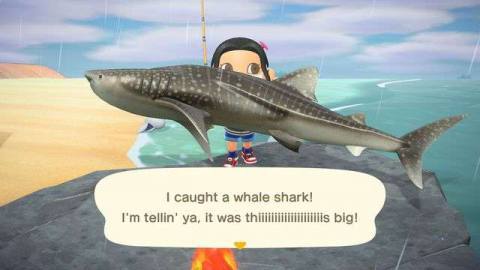 An Animal Crossing character holds up a Whale Shark by the ocean