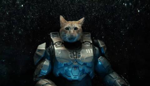 Taika Waititi Directs New Xbox Series X Video That Gives Us Meowster Chief