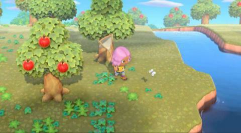 Animal Crossing: New Horizons Bug Prices – when and where to find every bug