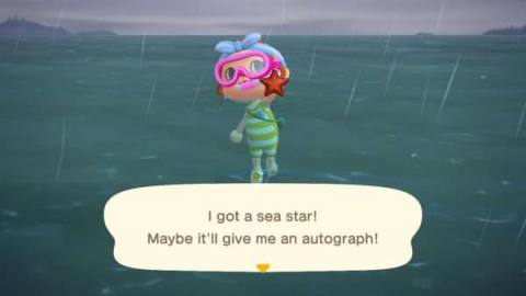 Animal Crossing: New Horizons Sea Creature prices – when and where to find every Sea Creature