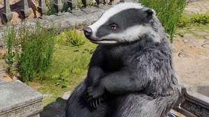 Baldur’s Gate 3 readying druid class as part of whopping patch