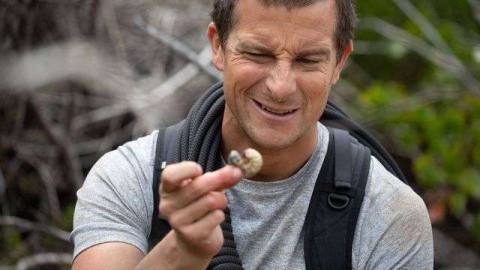 Netflix’s weird interactive specials, ranked by how much your choices matter