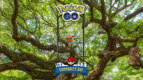 A Fletchling sits on a branch in AR