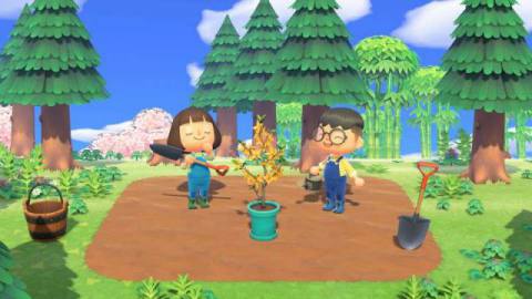 Animal Crossing: New Horizons Nature Day Event, What To Expect