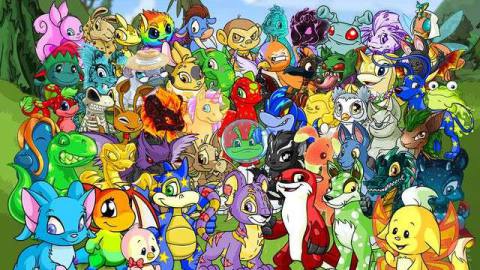 a group of different neopets