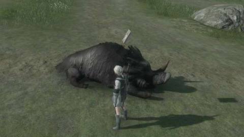 Nier Replicant guide: Boar Hunt! quest and fast travel walkthrough