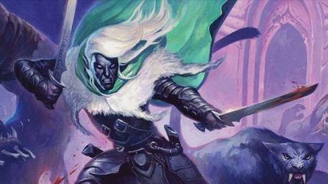 Drizzt and his panther leap into battle, blades and teeth flashing.