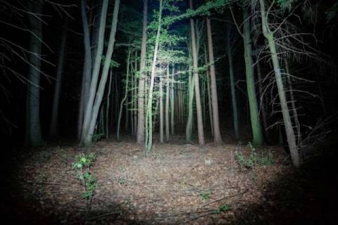 Abandoned Developer Shuts Down Silent Hill Rumors In New Video, Q&A Coming Soon