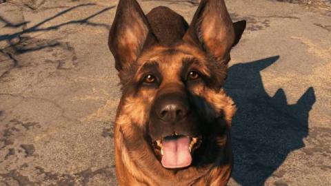 An Ode To Fallout 4’s Dogmeat After Real Life Dog Inspiration Named River Passes Away