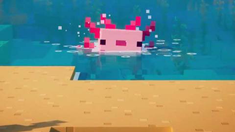 Minecraft - A pink axolotl frolics in the water