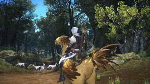 Final Fantasy 14 - a white haired characters sits on a Chocobo, a giant chicken mount, as a herd of zebra like creatures frolic in a meadow nearby
