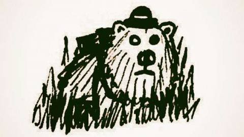 sketch of a bear with a hat