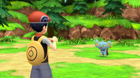 Pokémon Brilliant Diamond and Shining Pearl combat screenshot