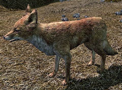 Skyrim’s foxes are not leading you to treasure – at least not intentionally