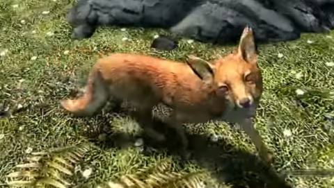 Skyrim’s myth of the treasure fox finally explained