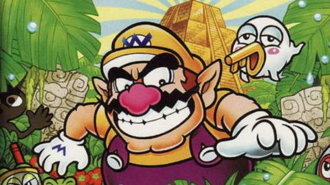 Wario Land 4 on Game Boy Advance cover. Wario is standing in a jungle, surrounded by tropical leaves and a few animals