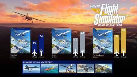 Microsoft Flight Simulator - GOTY Infographic