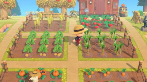 Everything we know about Animal Crossing: New Horizons’ free and paid updates
