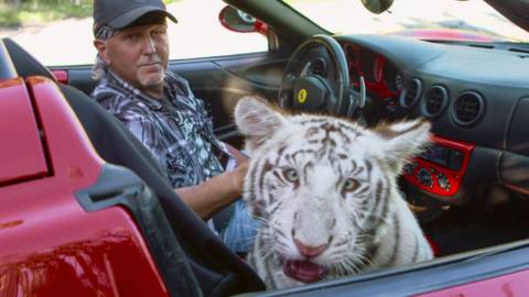 A man sits in a hot-pink convertible car with a blue-eyed white tiger in the passenger seat, staring into the camera.