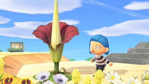 An Animal Crossing player with a shocked expression while looking at a corpse flower