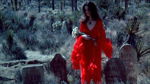 THE VELVET VAMPIRE: a woman in a red dress walks among gravestones