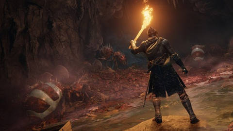 Elden Ring’s minimum PC system specs were published and then quickly deleted again