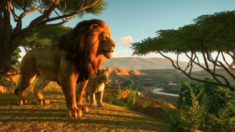 a lion with a cub at sunset in Planet Zoo