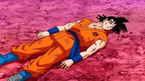 Goku bleeding out on the ground
