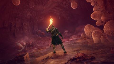 Still image of Knight in a cave with a torch from the Elden Ring game