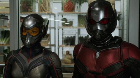 Ant-Man and the Wasp - the Wasp and Ant-Man