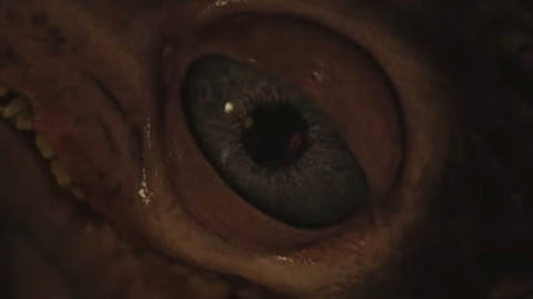 A close-up on the Alli puppet’s eye, from the Hatching trailer