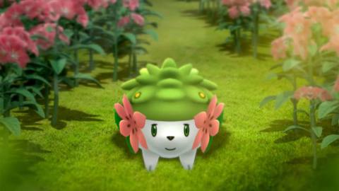 Pokémon Go Fest Shaymin Special Research Tasks and rewards