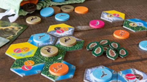 Tokens with animals sit atop tiles with habitats. A pool of pinecones sits in the middle of the table.