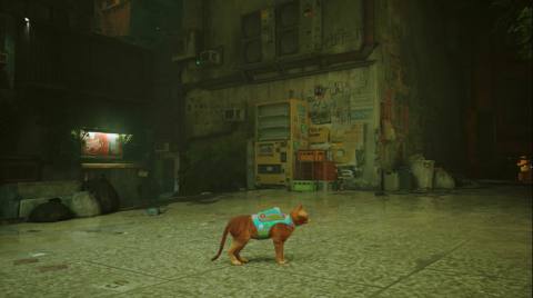 Stray modder taking commissions to let you play as your own cat