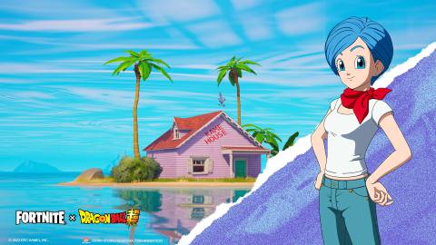asset of kame house with Bulma in-game
