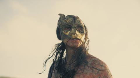 A mid-close-up on Crabfeeder, looking off at something