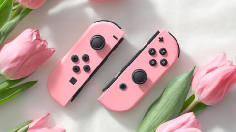 Nintendo Reveals Pink Joy-Con Switch Controllers Alongside New Princess ...