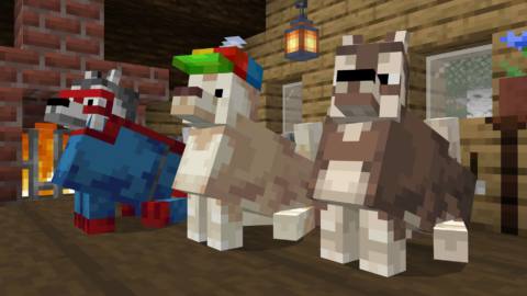 Minecraft - three different colors of dog sit in a house wearing hats