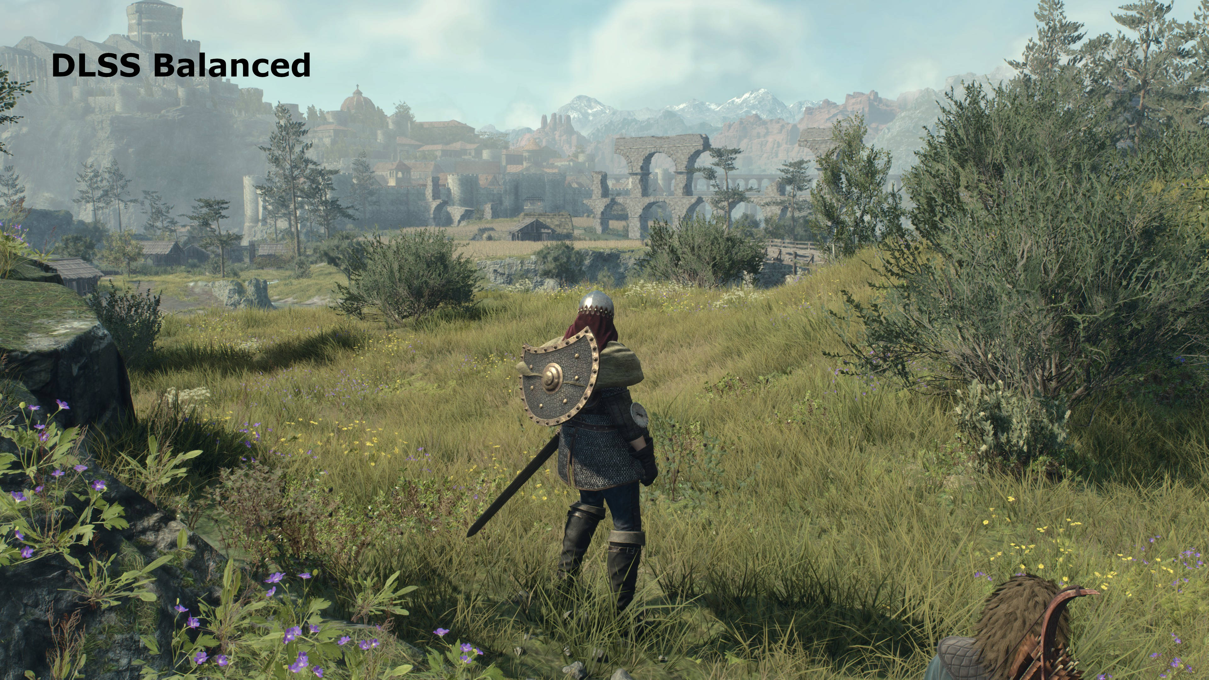 Screenshots of Dragon's Dogma 2, showing an open world view, with a buildings and mountains in the distance