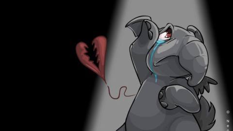 I cancelled one of my Neopets so that the others may thrive