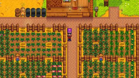 Where to find the bookseller in Stardew Valley
