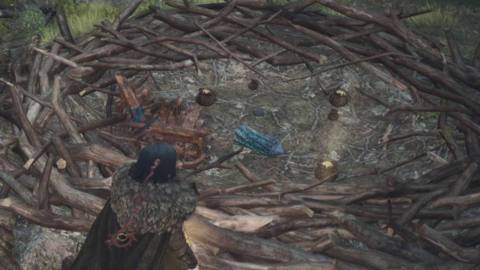 The Arisen looks at a griffin’s nest with a portcrystal in it in Dragon’s Dogma 2