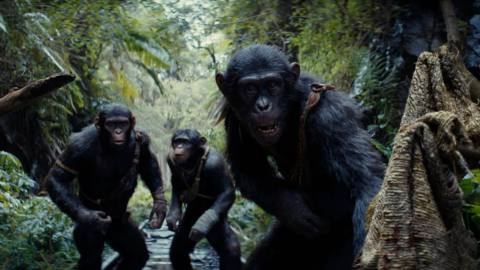 Believe it or not, Kingdom of the Planet of the Apes was mostly shot outside of blue-screen sets
