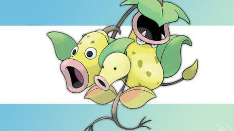 Shiny Bellsprout with regular Weepinbell and Victreebel behind it