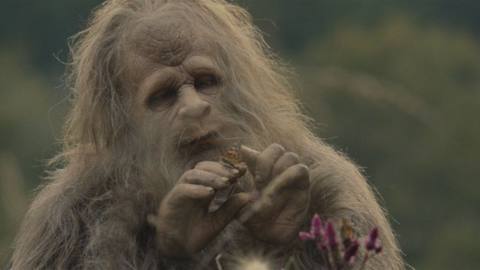 A sasquatch eats berries in a hilly wilderness in Sasquatch Sunset