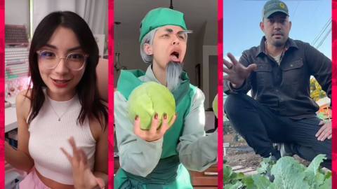 A graphic showing stills from three different TikTok creators. One shows Uwumi, a young woman sitting at a pink-themed PC Gaming set up as she paints her nails, Snitchery, a cosplayer dressed up as the cabbage salesman from Avatar The Last Airbend, and Kevin, a gardener squatting above leafy greens.